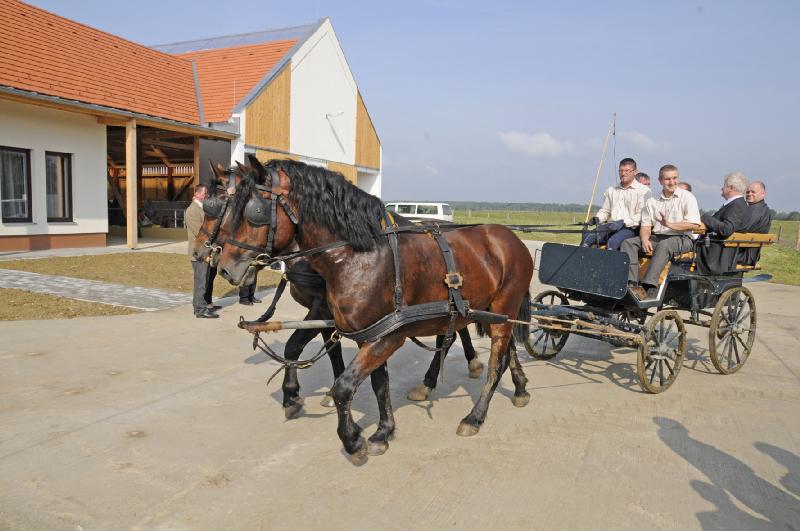 7F50BFB6A866994BD63D91D8C2CE1966